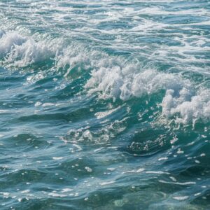 découvrez comment la salinité peut sublimer vos plats en révélant des trésors cachés de saveurs uniques et surprenantes.