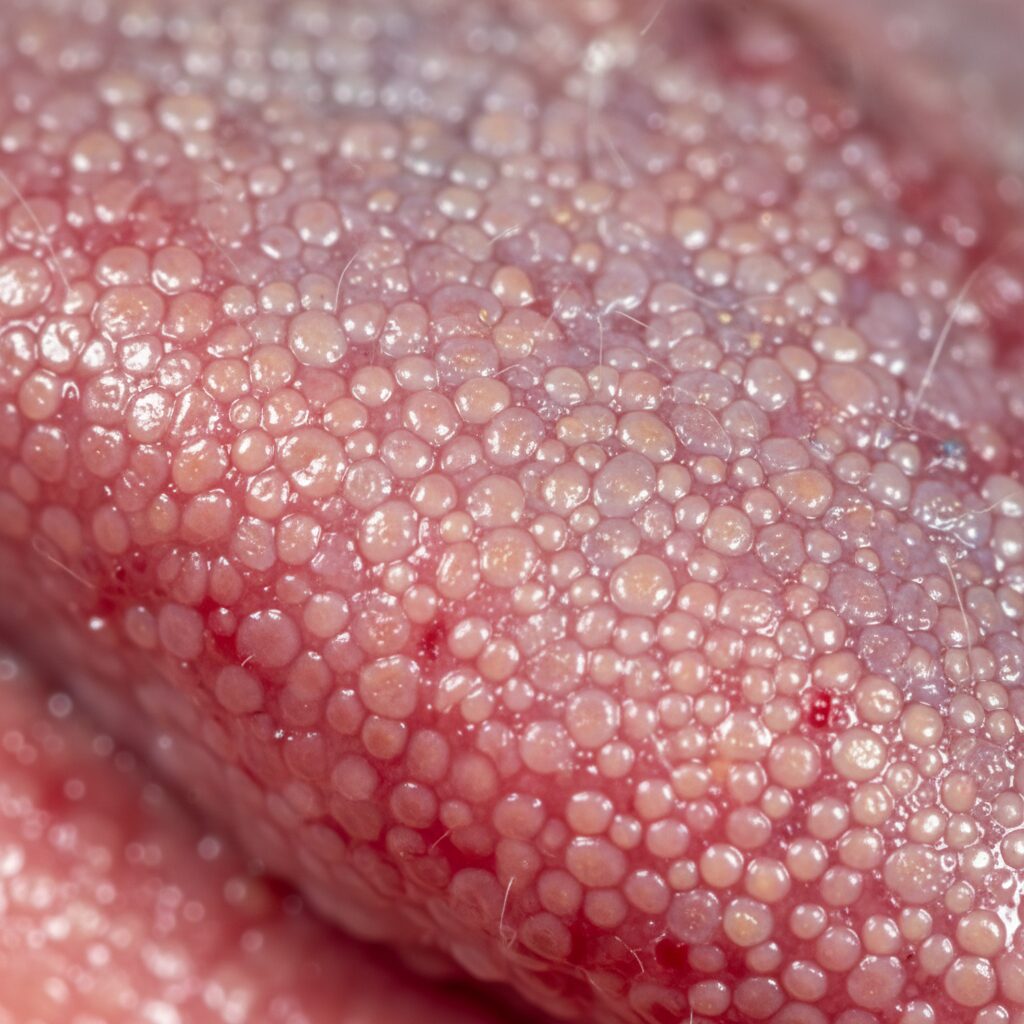 découvrez comment nos papilles s'adaptent et s'habituent aux saveurs les plus surprenantes, dévoilant les secrets de notre perception gustative.